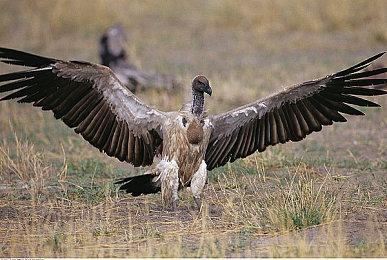 Steam每日特惠活动升级 四款游戏变六款