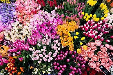 任天堂Switch有望原生运行索尼PSV独占游戏